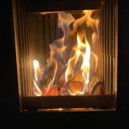 Stausee- Waldloft Tatil Evi Drognitz